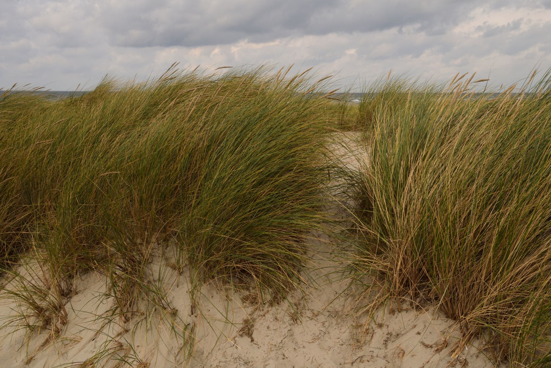 Die Nord- oder Ostsee