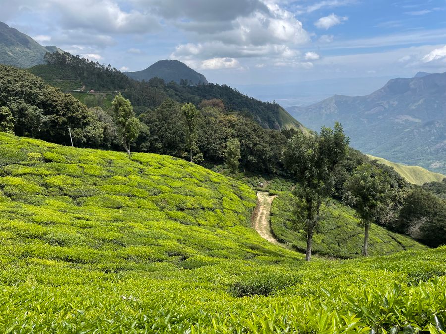 Munnar Getaway