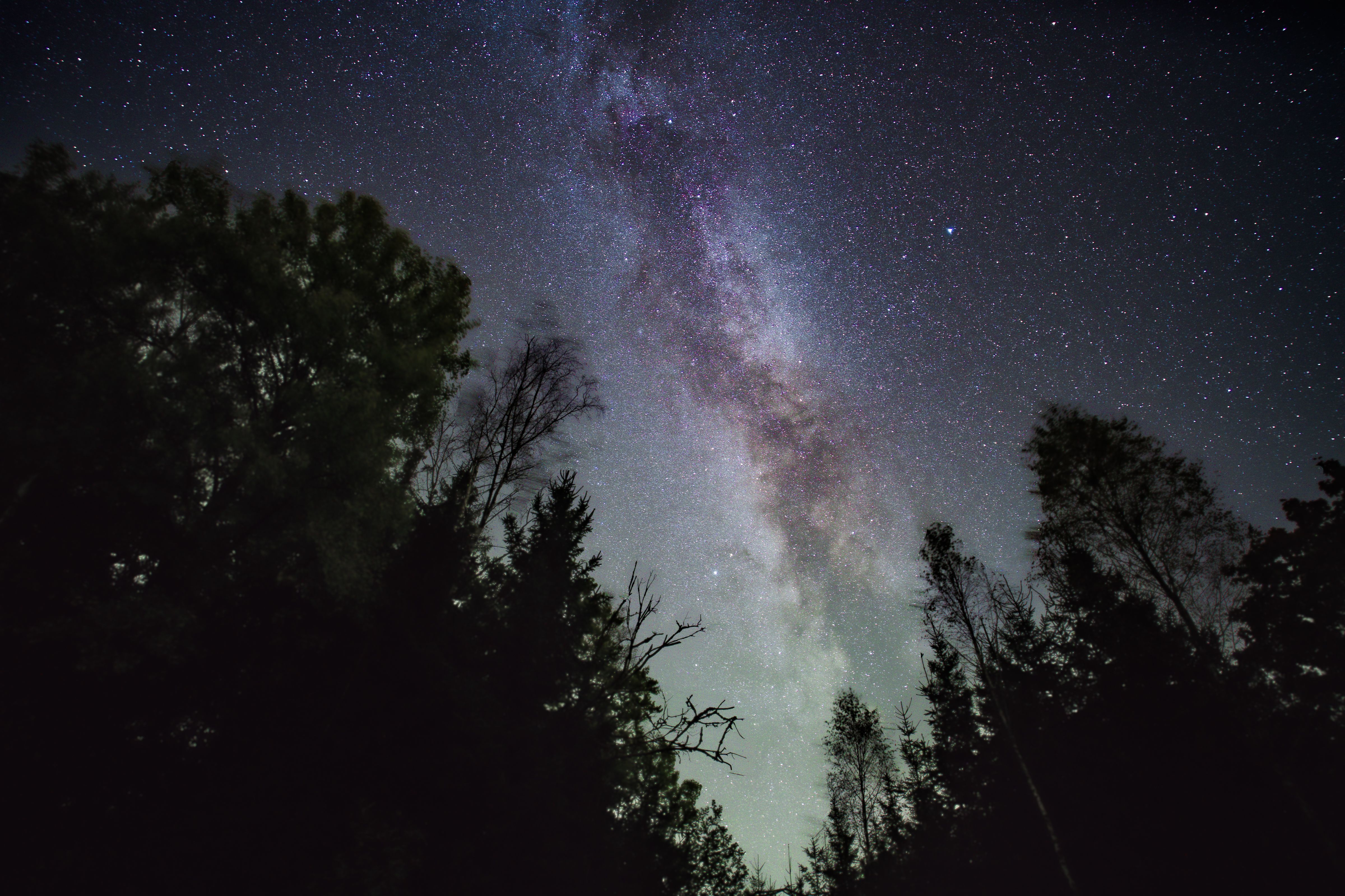 Starry Night Sky with Milky Way and Forest Silhouette · Free Stock Photo