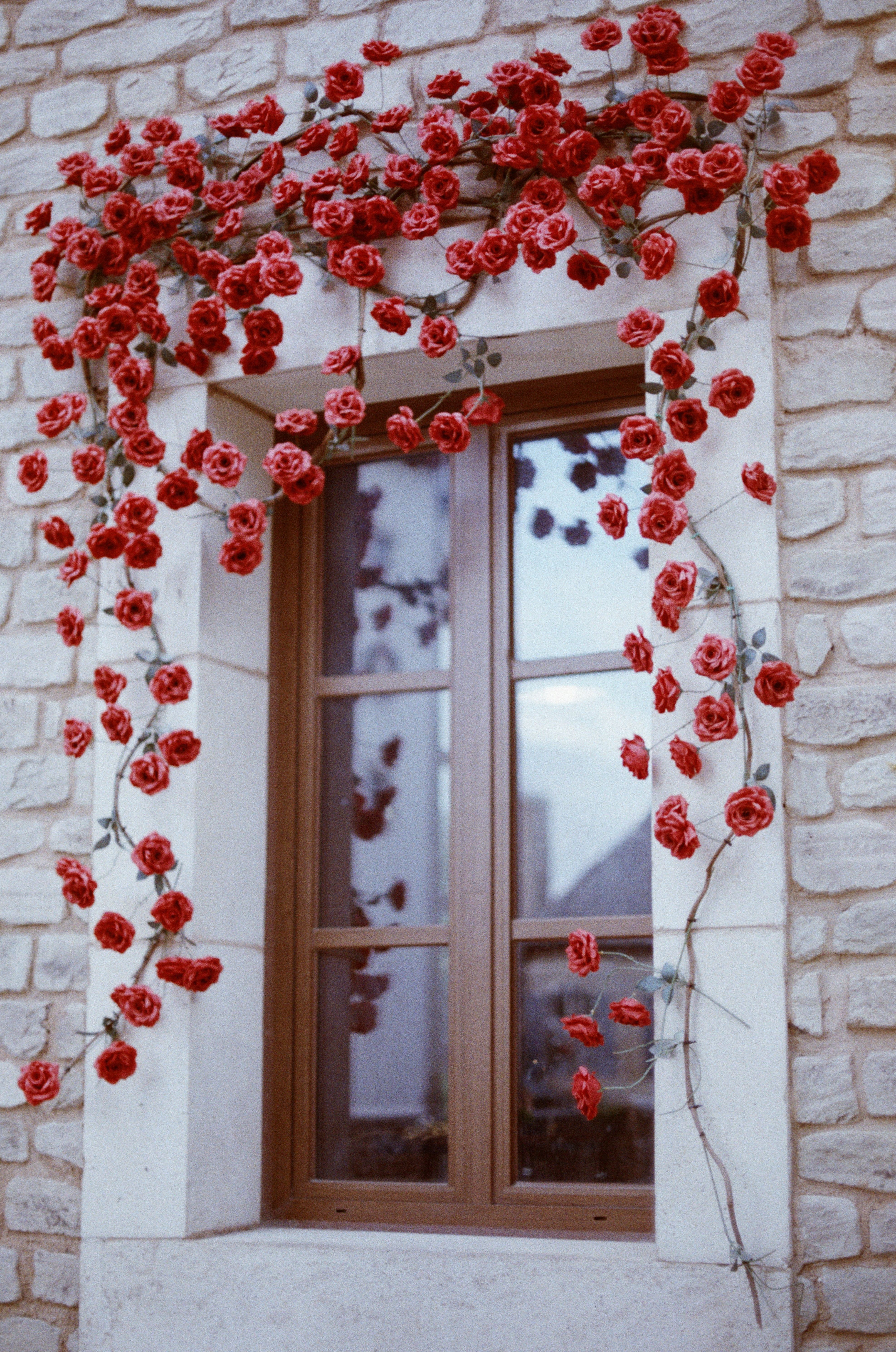 Charming Stone Wall with Red Roses and Window · Free Stock Photo
