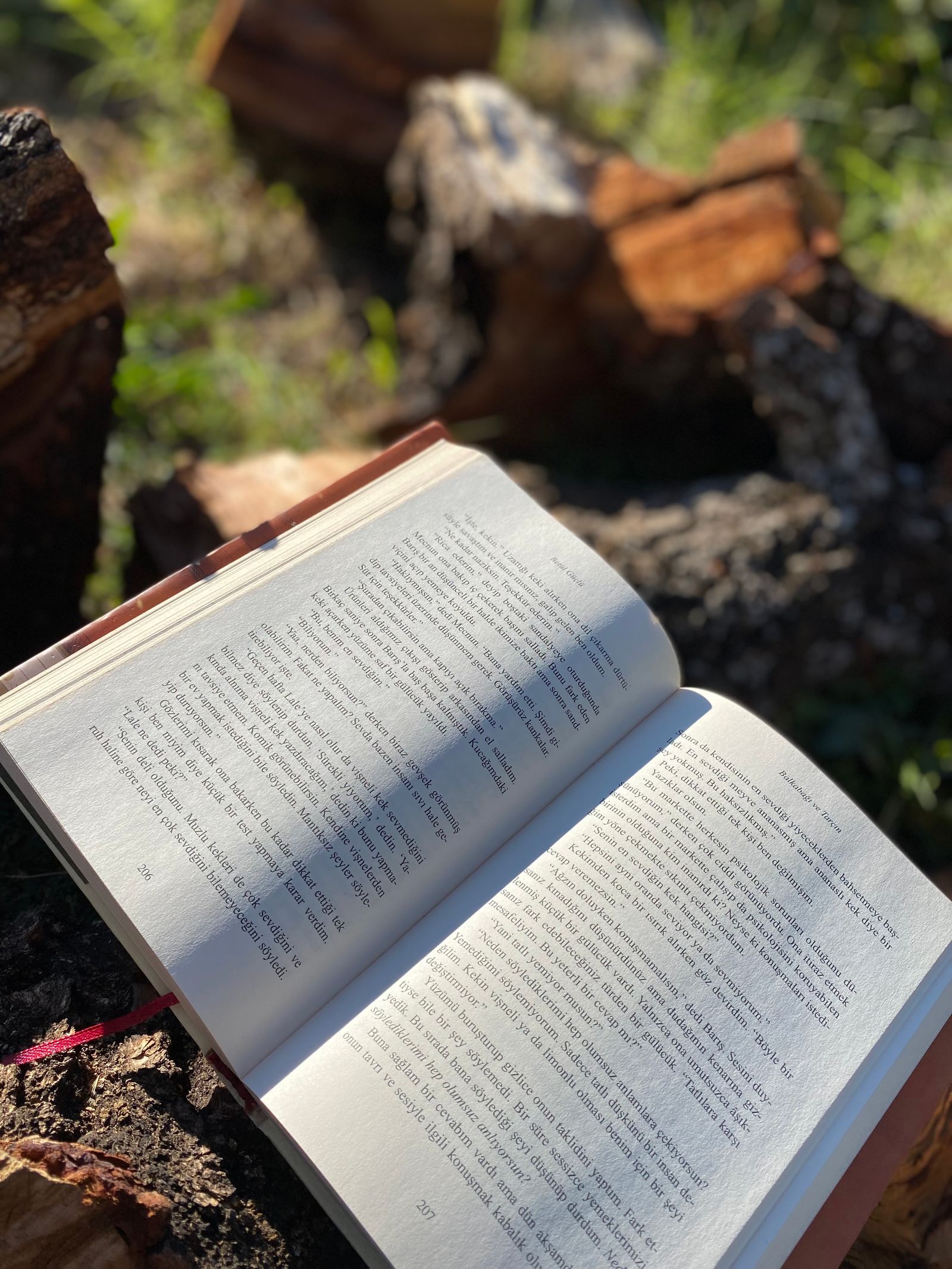 Open book in warm natural light outdoors, representing reflection and historical health writing