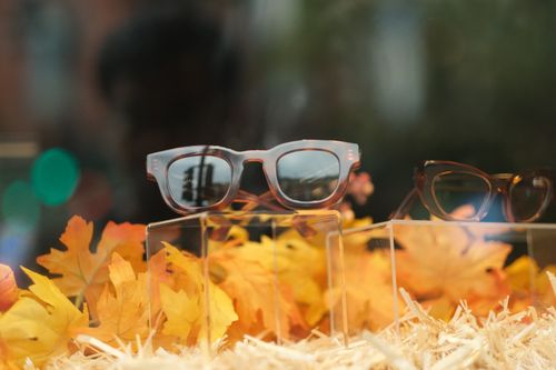 Free Elegant eyewear displayed amidst autumn leaves capturing fall fashion essence. Stock Photo