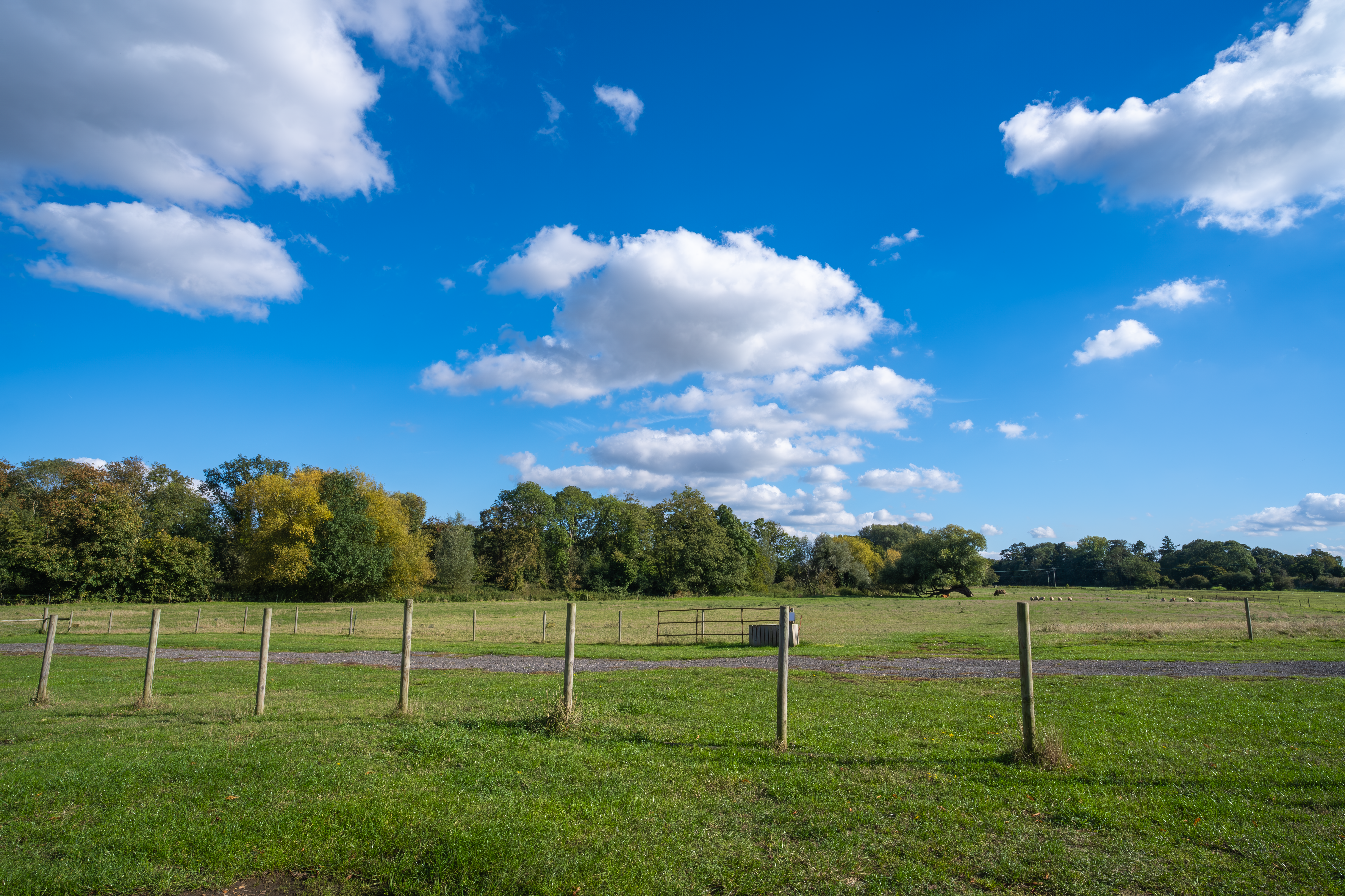 Picturesque Green Fields Under Blue Sky in Baylham · Free Stock Photo