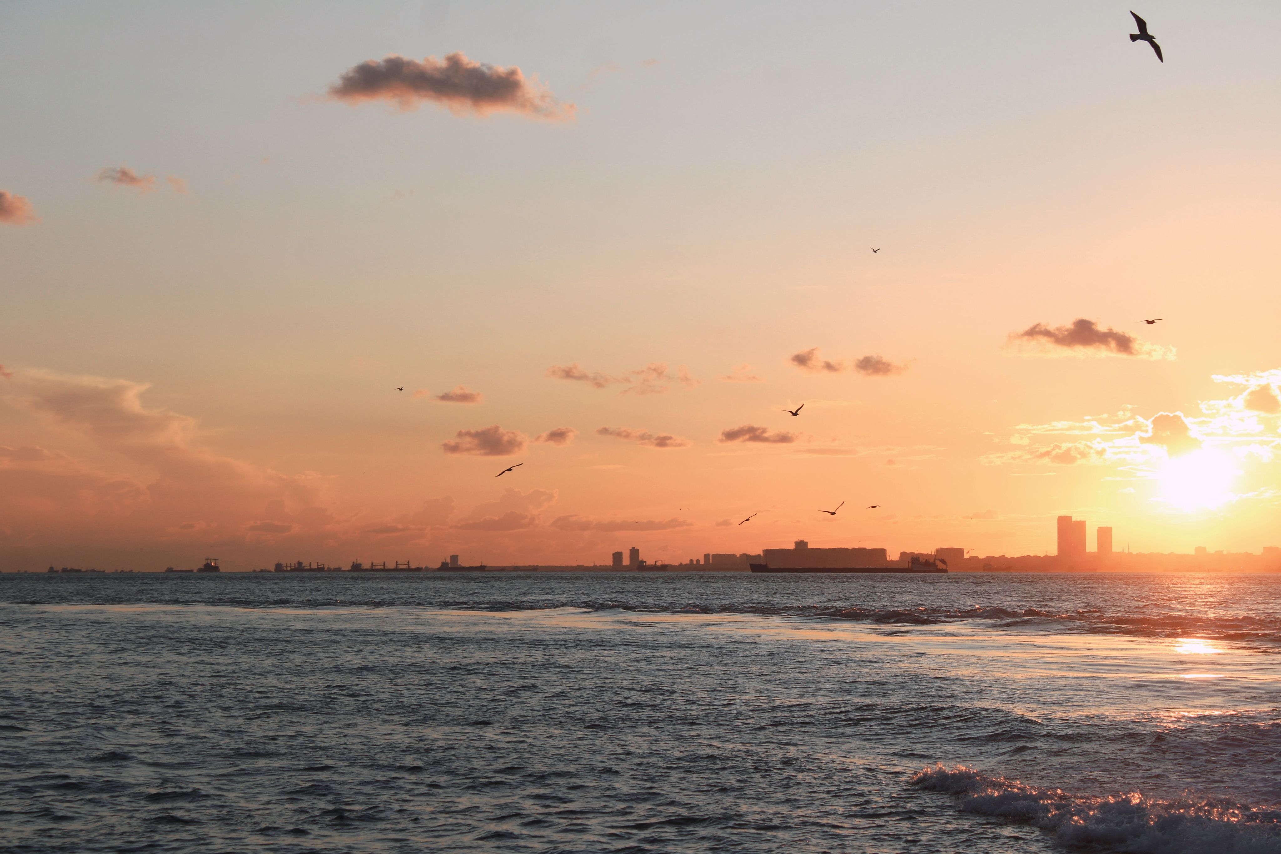 Dramatic Sunset Over Ocean with City Skyline · Free Stock Photo