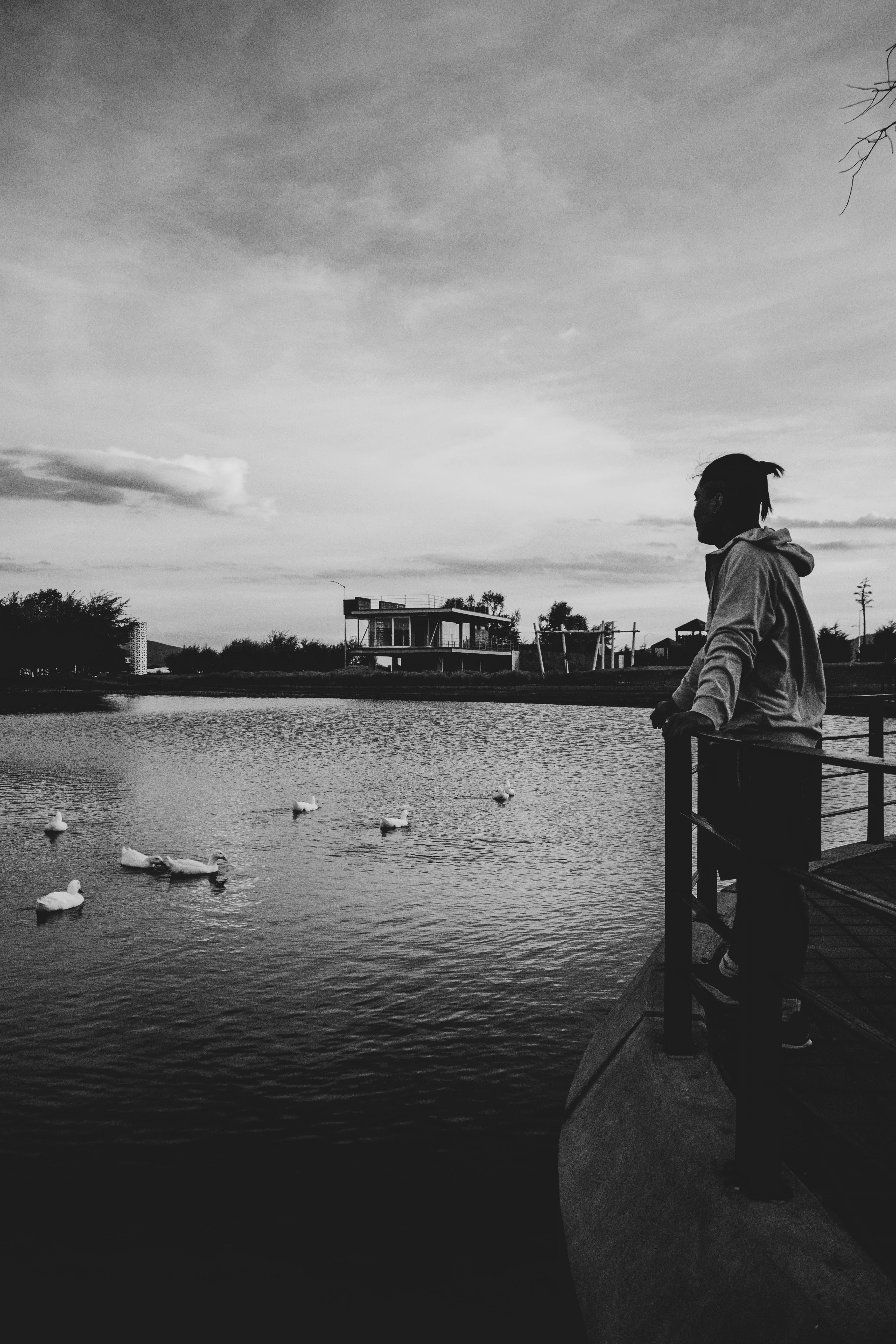 bezplatná Kontemplativní Okamžik U Klidného Jezera Základová fotografie