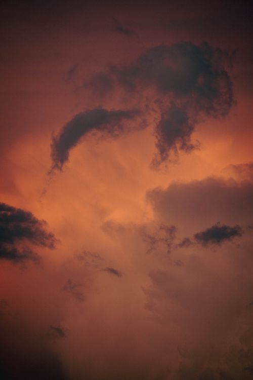 Free A captivating sky with dark clouds silhouetted against a warm, orange sunset. Stock Photo