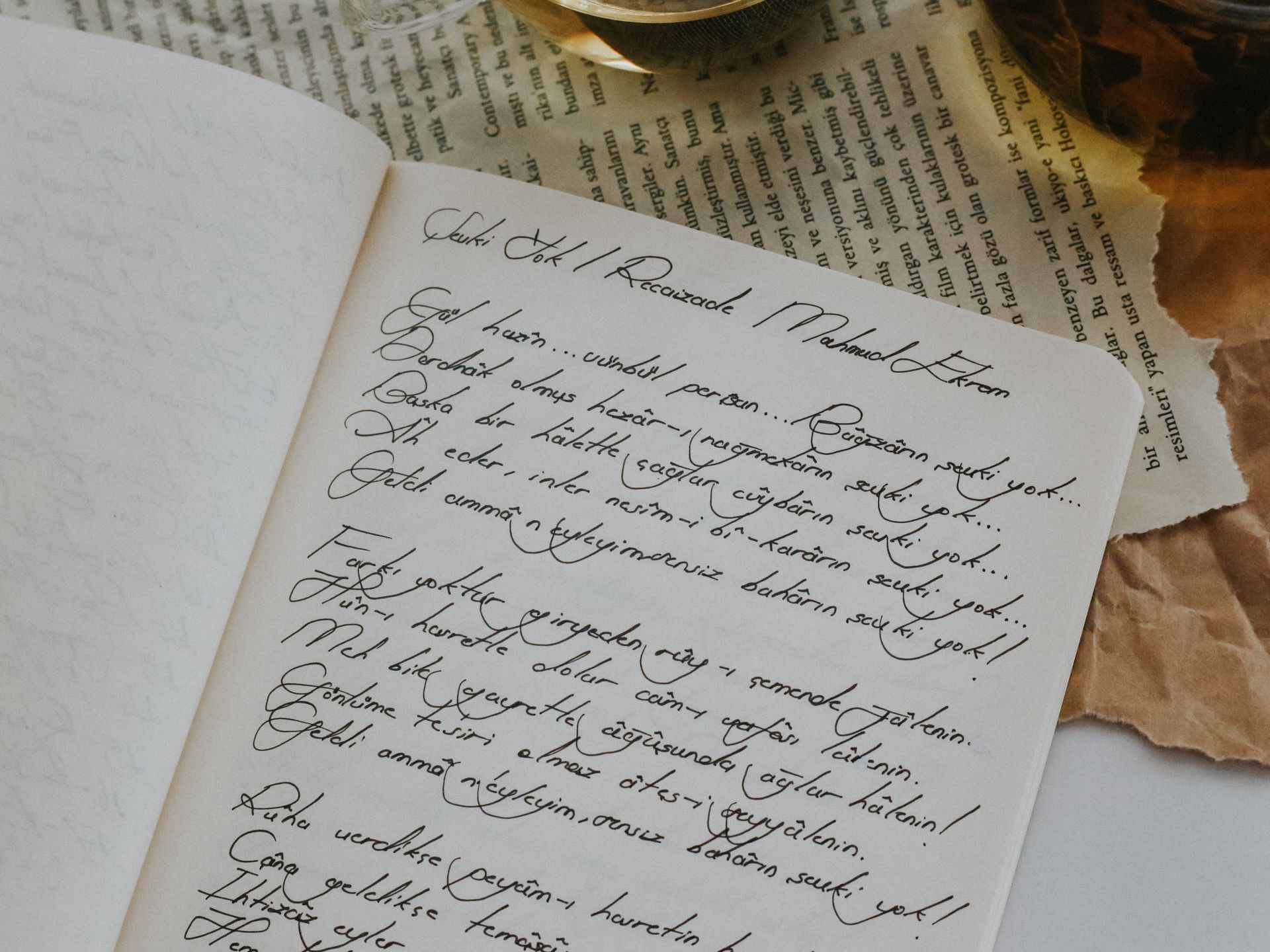 Elegant Handwritten Poetry on a Journal Page