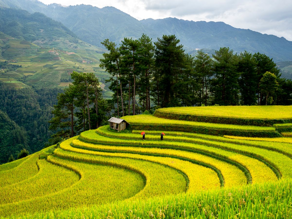 14 Day All-Inclusive Muay Thai & Wellness Retreat, Thailand 3