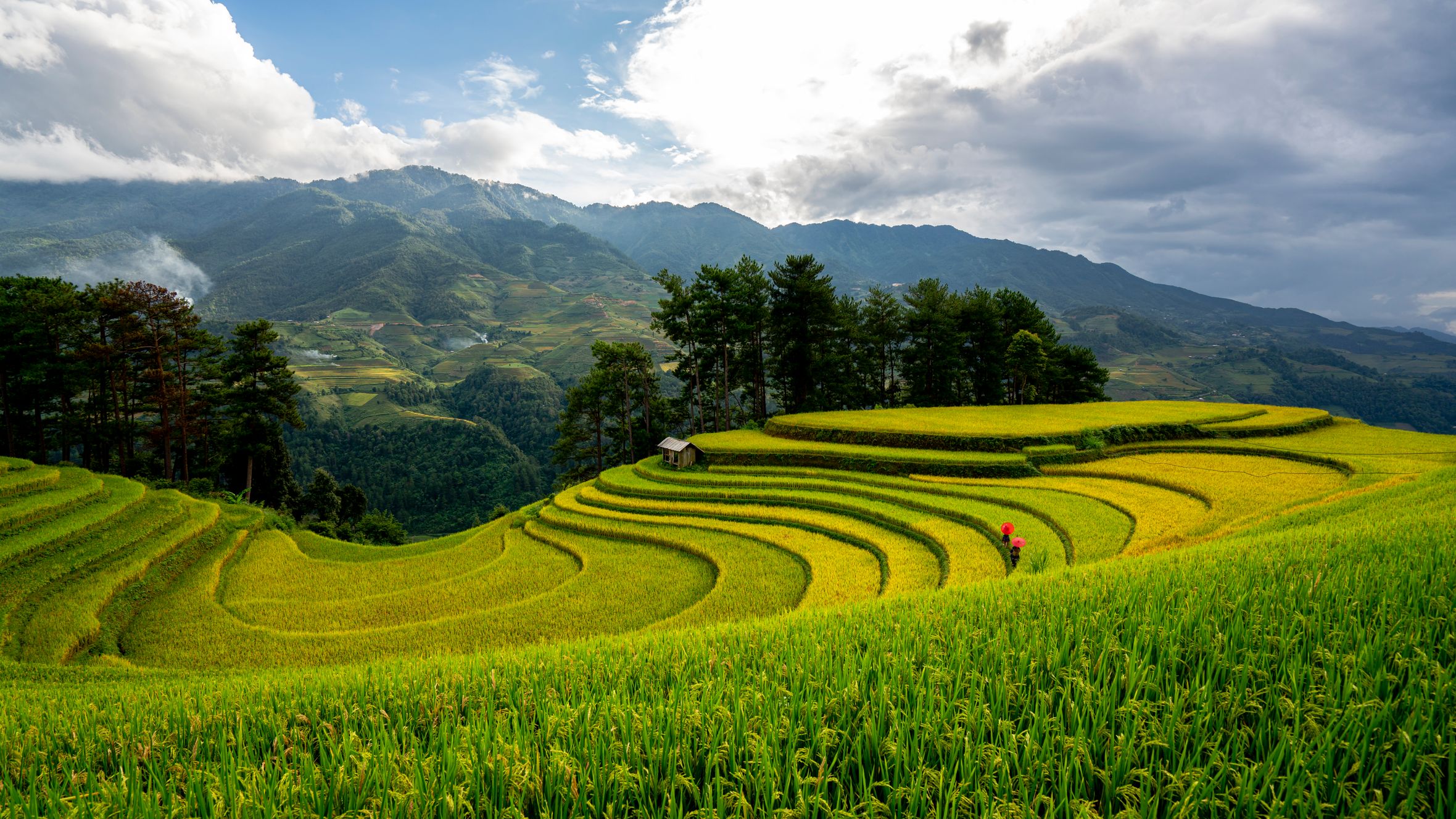 Stunning view of lush green terraced rice fields surrounded by mountains and dramatic skies.