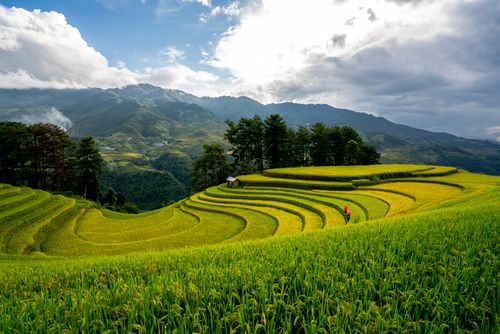 Free Stunning view of lush green terraced rice fields surrounded by mountains and dramatic skies. Stock Photo