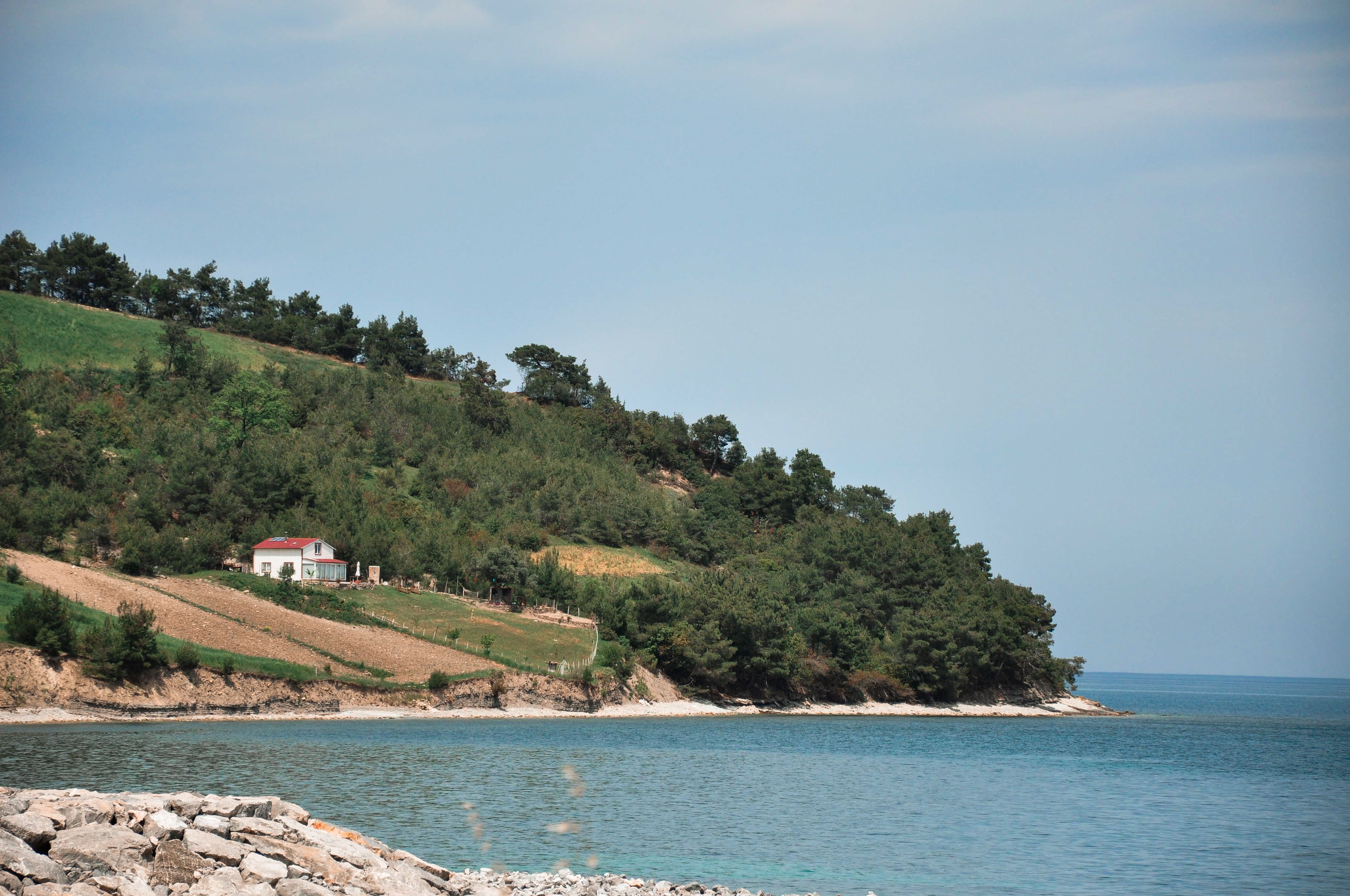 Coastal Landscape with Lush Greenery and Calm Waters · Free Stock Photo