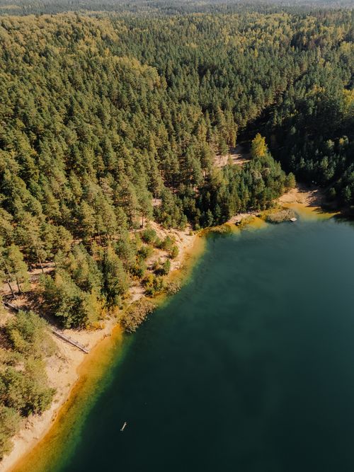 Free Serene aerial view showcasing lush forest meeting a tranquil blue lake in Latvia. Stock Photo