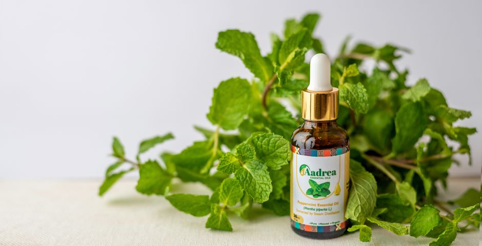 A peppermint essential oil bottle with fresh mint leaves