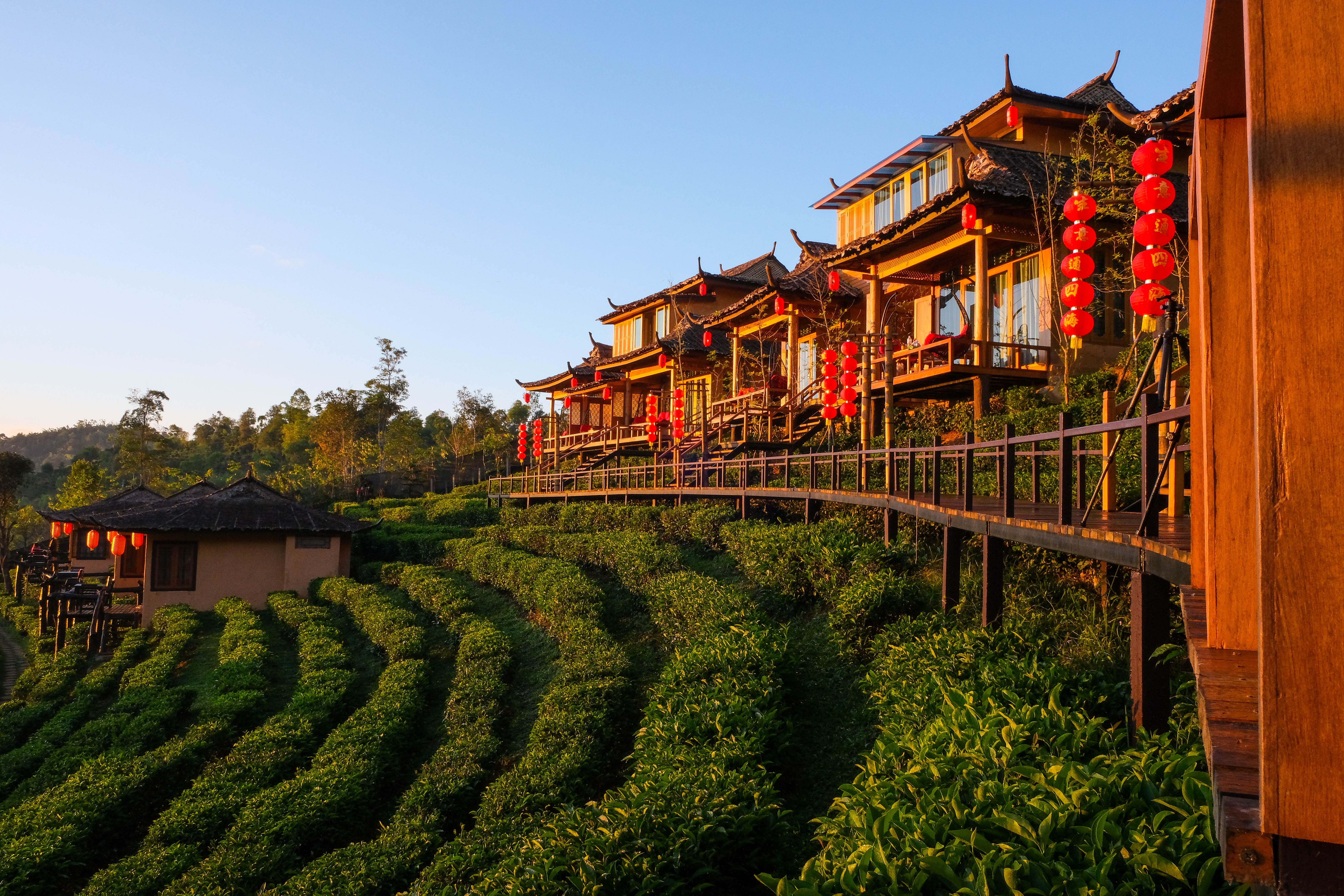Stunning view of traditional Thai architecture with vibrant red lanterns during sunrise in Chiang Mai, Thailand.