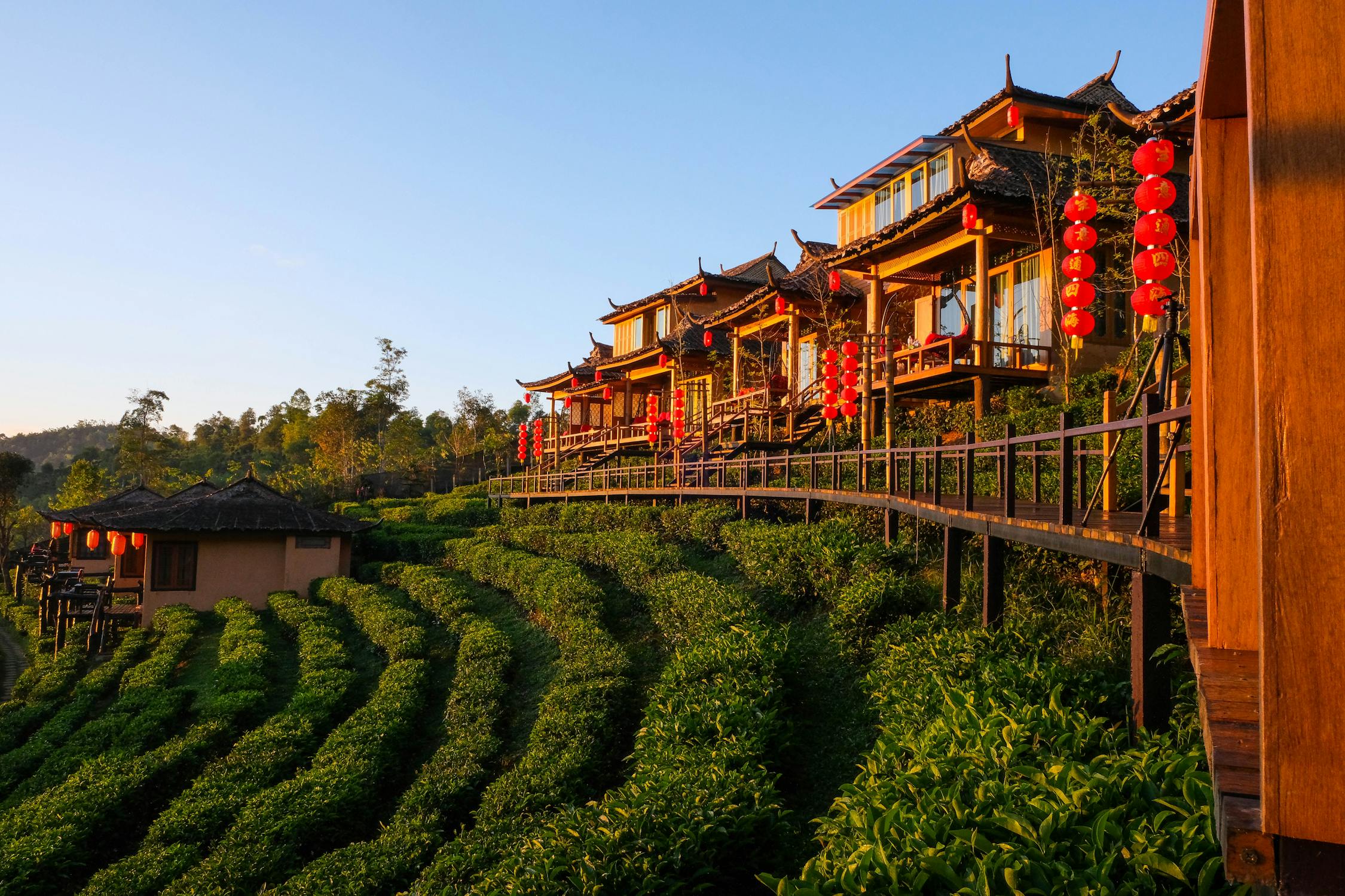 free photo of traditional thai architecture at sunrise in chiang mai