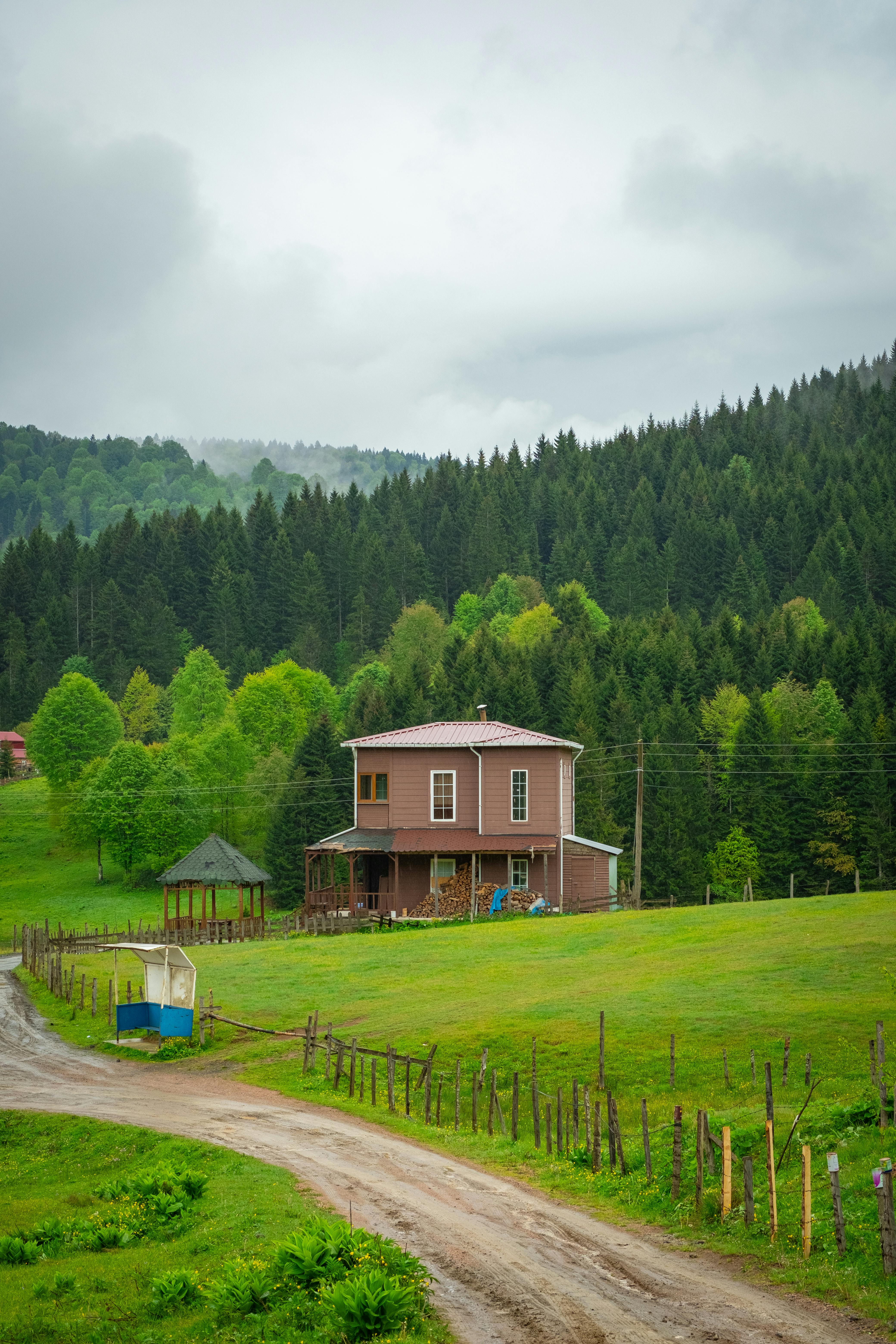 cottage in verdant mountain landscape view