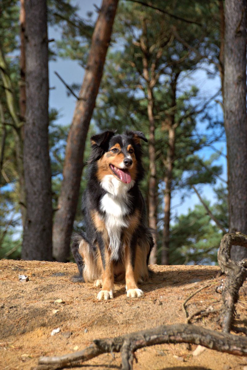 Freya - photo 1