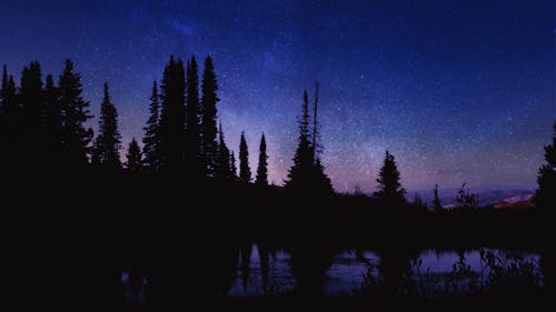 Free stock photo of dusk, forest, mountains