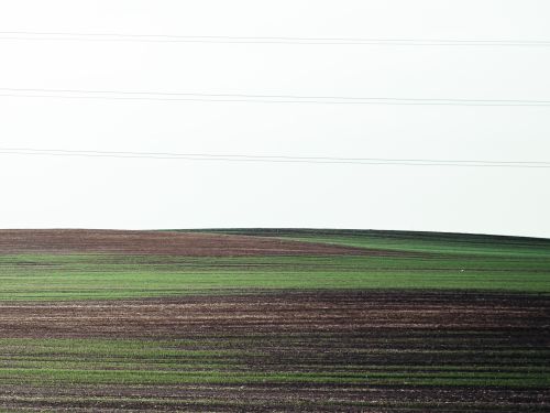 Free stock photo of autumn, autumn aesthetic, autumn field Stock Photo