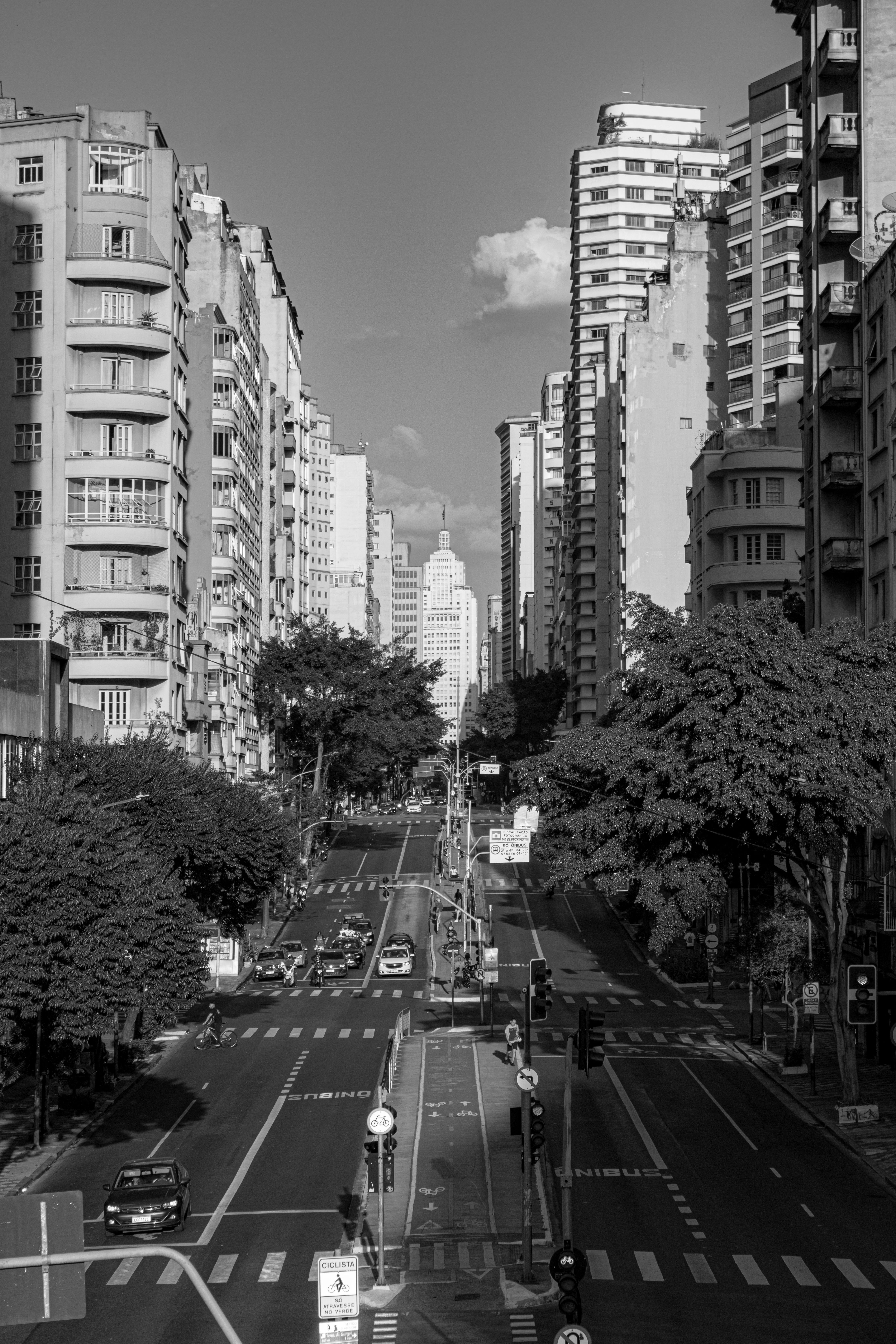Black and White Urban Cityscape with Tall Buildings · Free Stock Photo