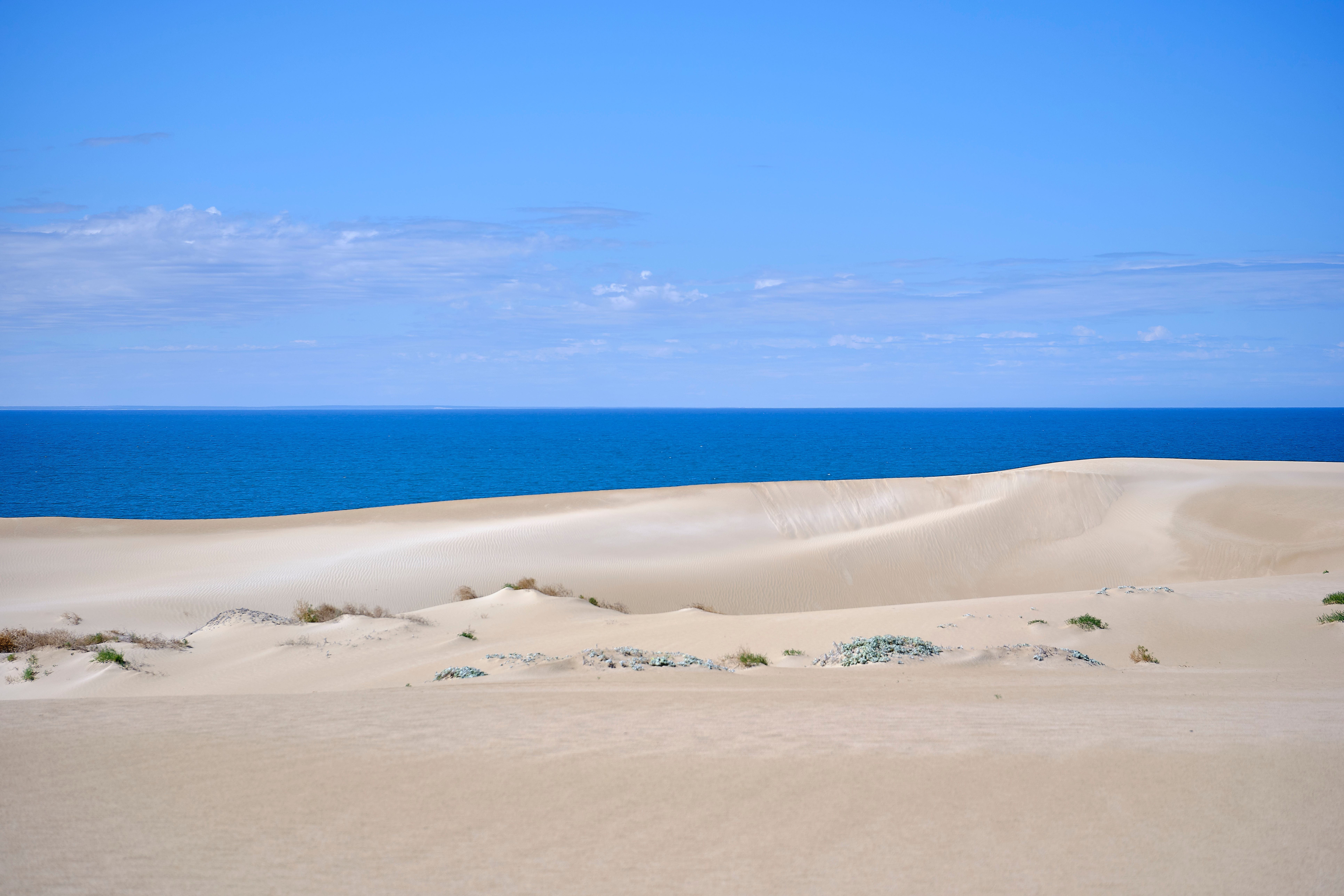 Serene Ocean and Sand Dunes under Clear Blue Sky · Free Stock Photo