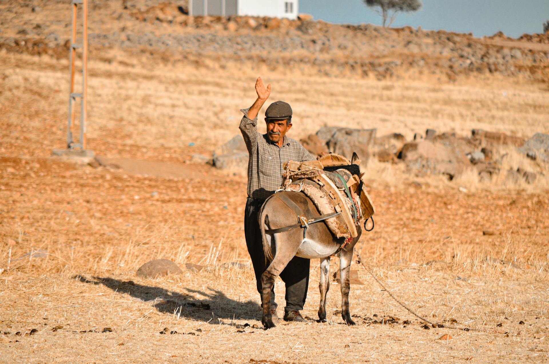 Man with Donkey in Rural Türkiye Landscape