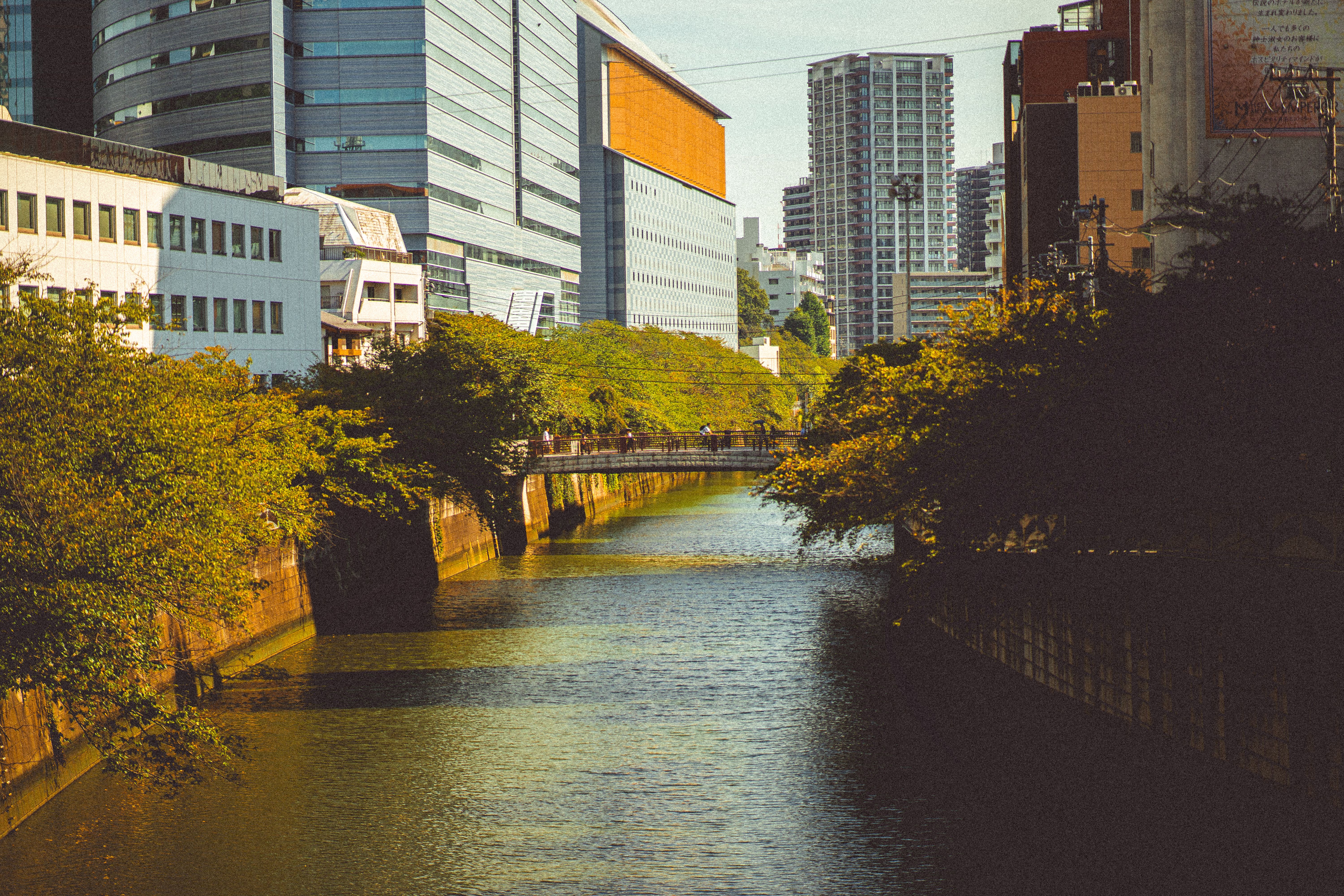 Captivating view of Meguro River with urban Tokyo skyline, offering a serene cityscape.