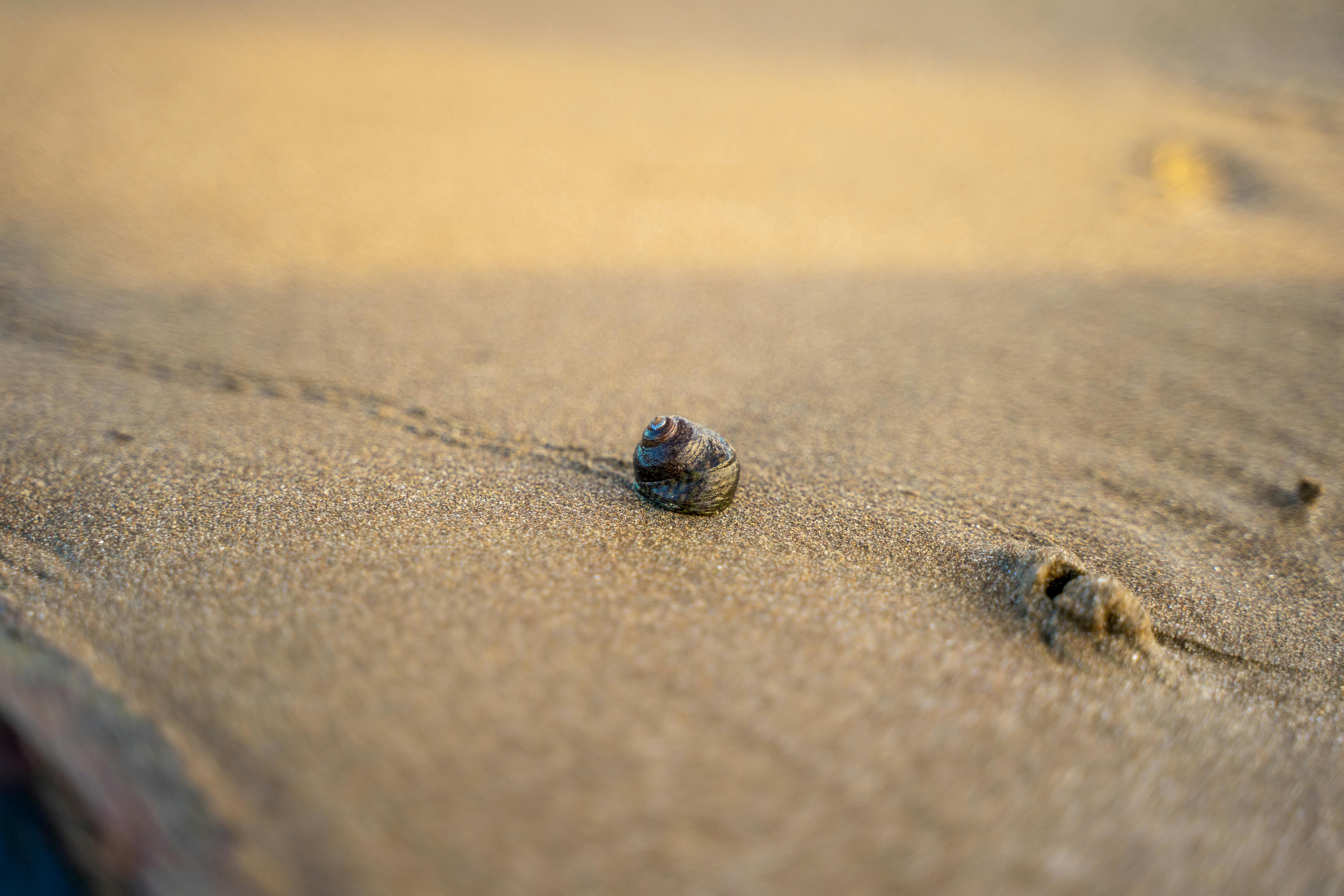 Fotos de Playa del Inglés, Gran Canaria, Islas Canarias