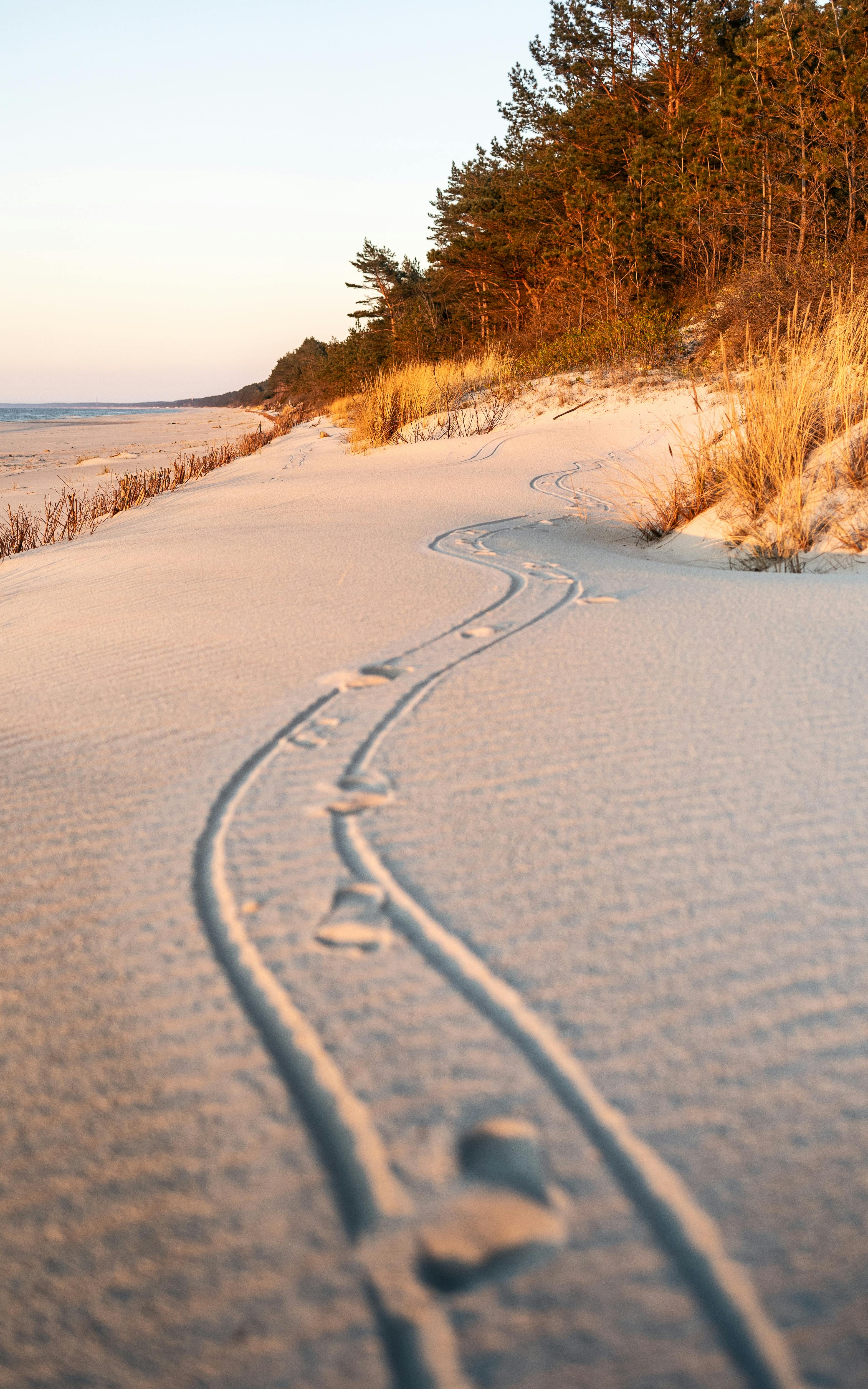 Bałtyckie Wybrzeże – raj dla plażowiczów - Ilustracja do artykułu