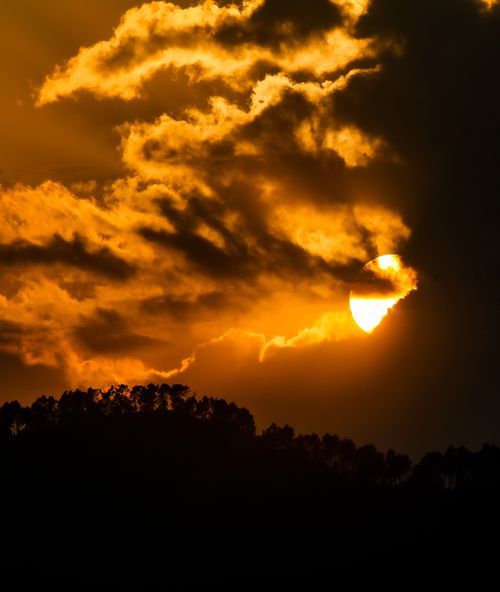 Free Stunning sunset over trees with dramatic clouds capturing serene evening beauty. Stock Photo