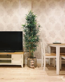 Cozy modern living room featuring a TV stand and indoor plant.