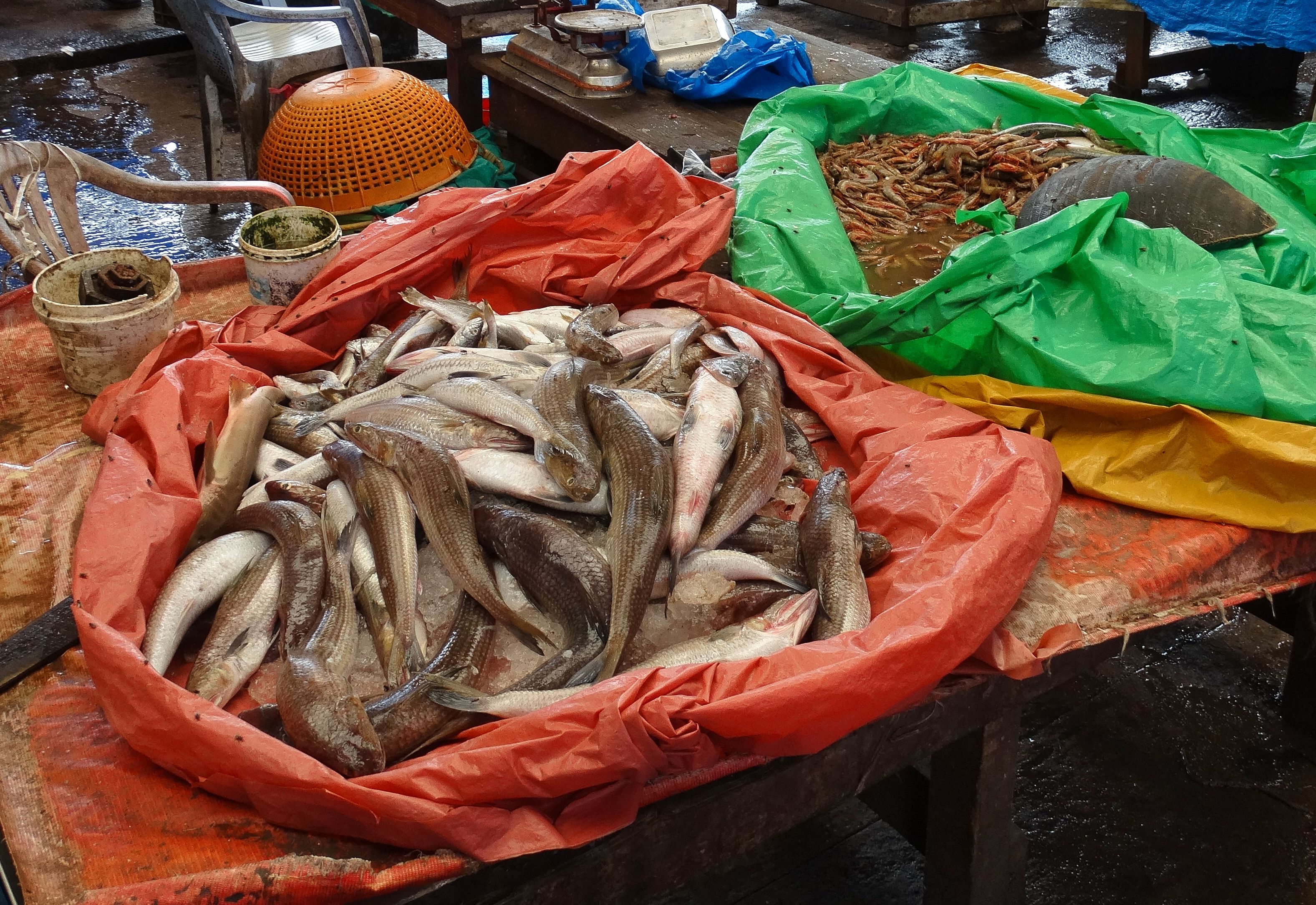 Mercado do Peixe (Fish Market), Angra dos Reis Centro
