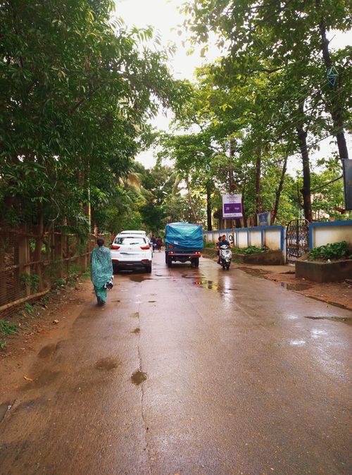 Free A tranquil street scene with vehicles and lush greenery after rain. Stock Photo