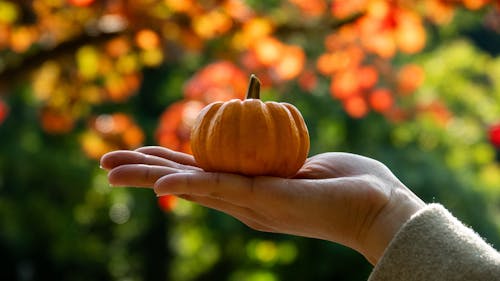 Best U.S. Towns For Fall Festivals This October