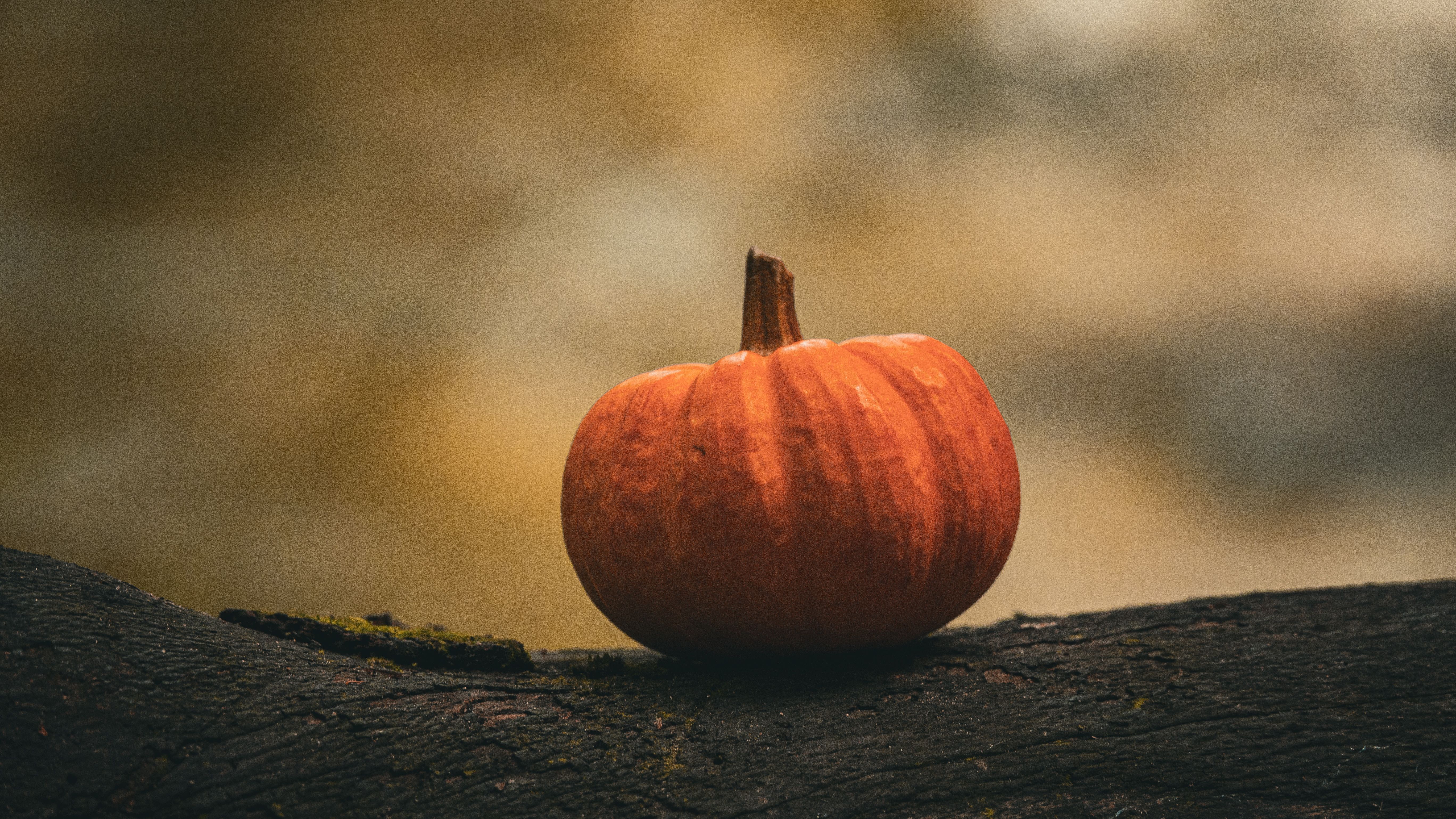 bezplatná Základová fotografie zdarma na téma Anglie, bokeh, cucurbita Základová fotografie