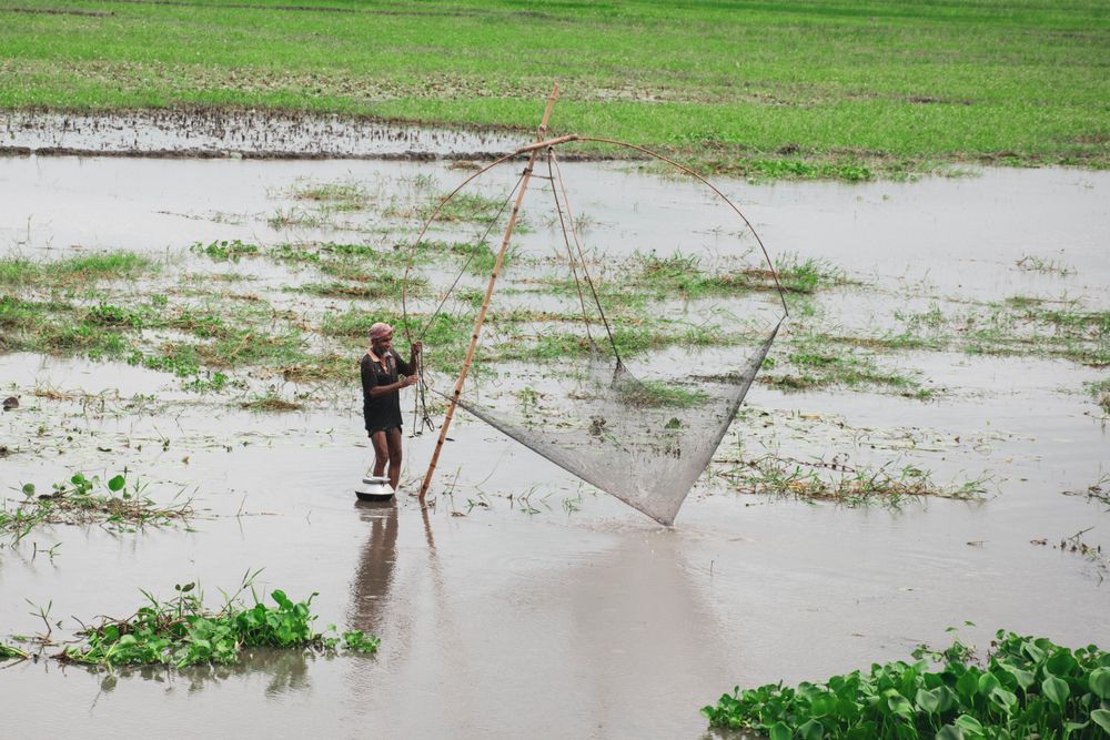 A fisherman working a large lift net in shallow water
