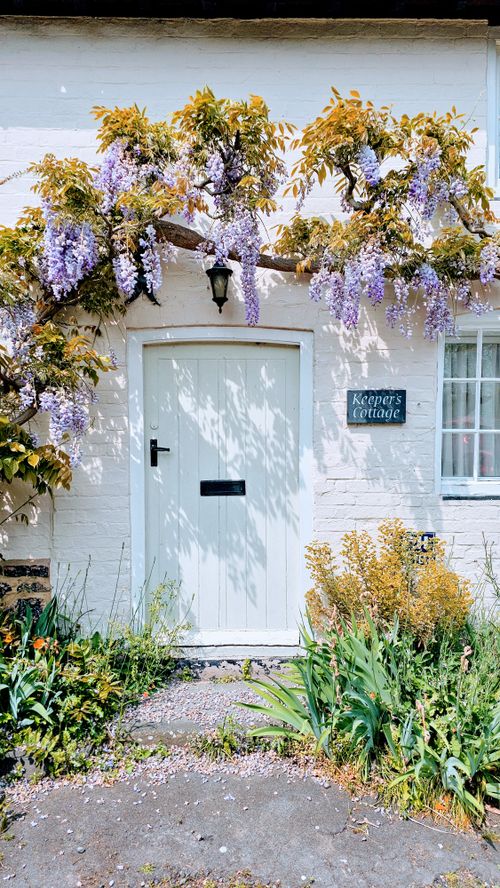 Free Charming white cottage with blue door and lush wisteria in bloom, perfect for cozy countryside vibes. Stock Photo
