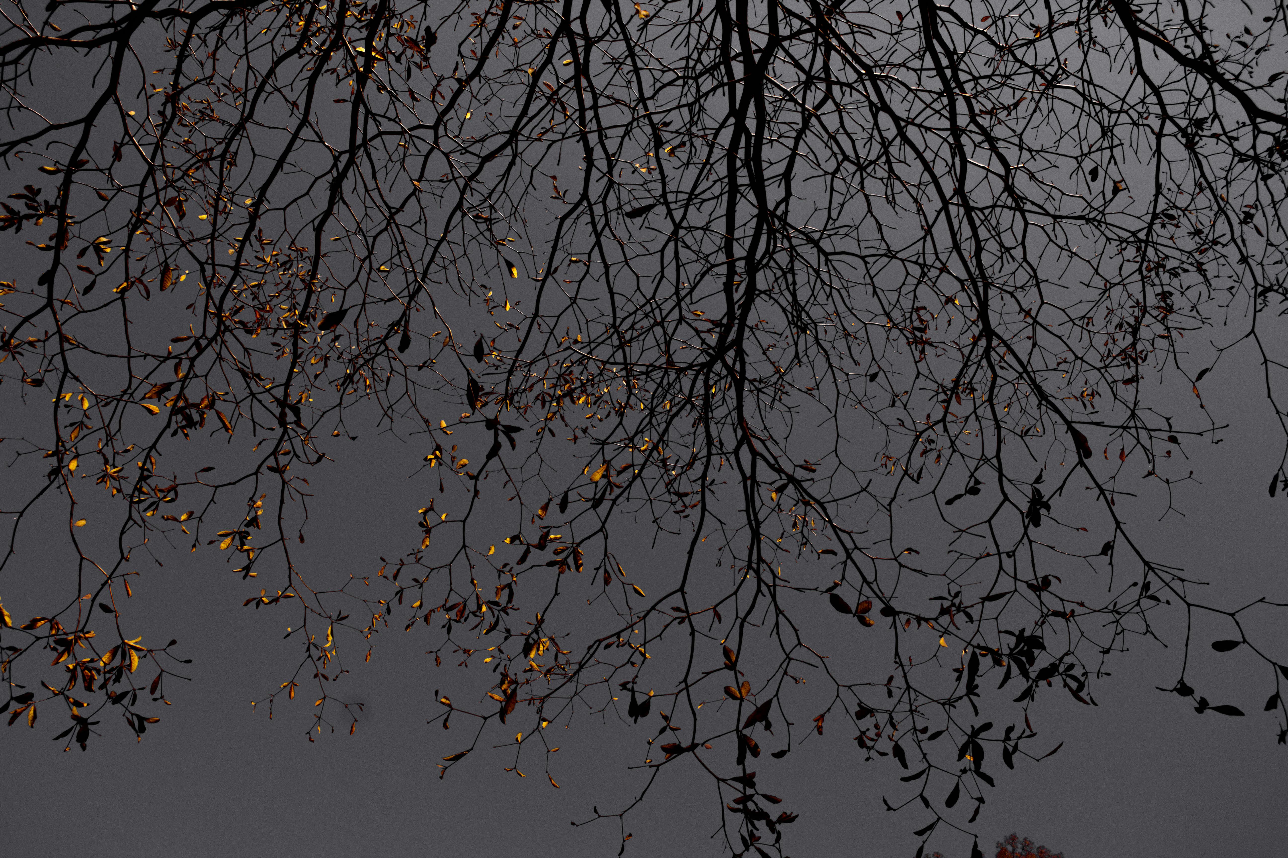Hero BackgroundFotografia de Jonny Gios capturada através de um arco de tijolos em primeiro plano, criando uma moldura natural para um edifício histórico de tons terrosos sob um céu nublado.