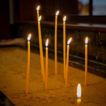 Yes, Green Candles Are A Thing Too!