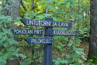 Directional signpost in Lammassaari forest, Finland, surrounded by green foliage.