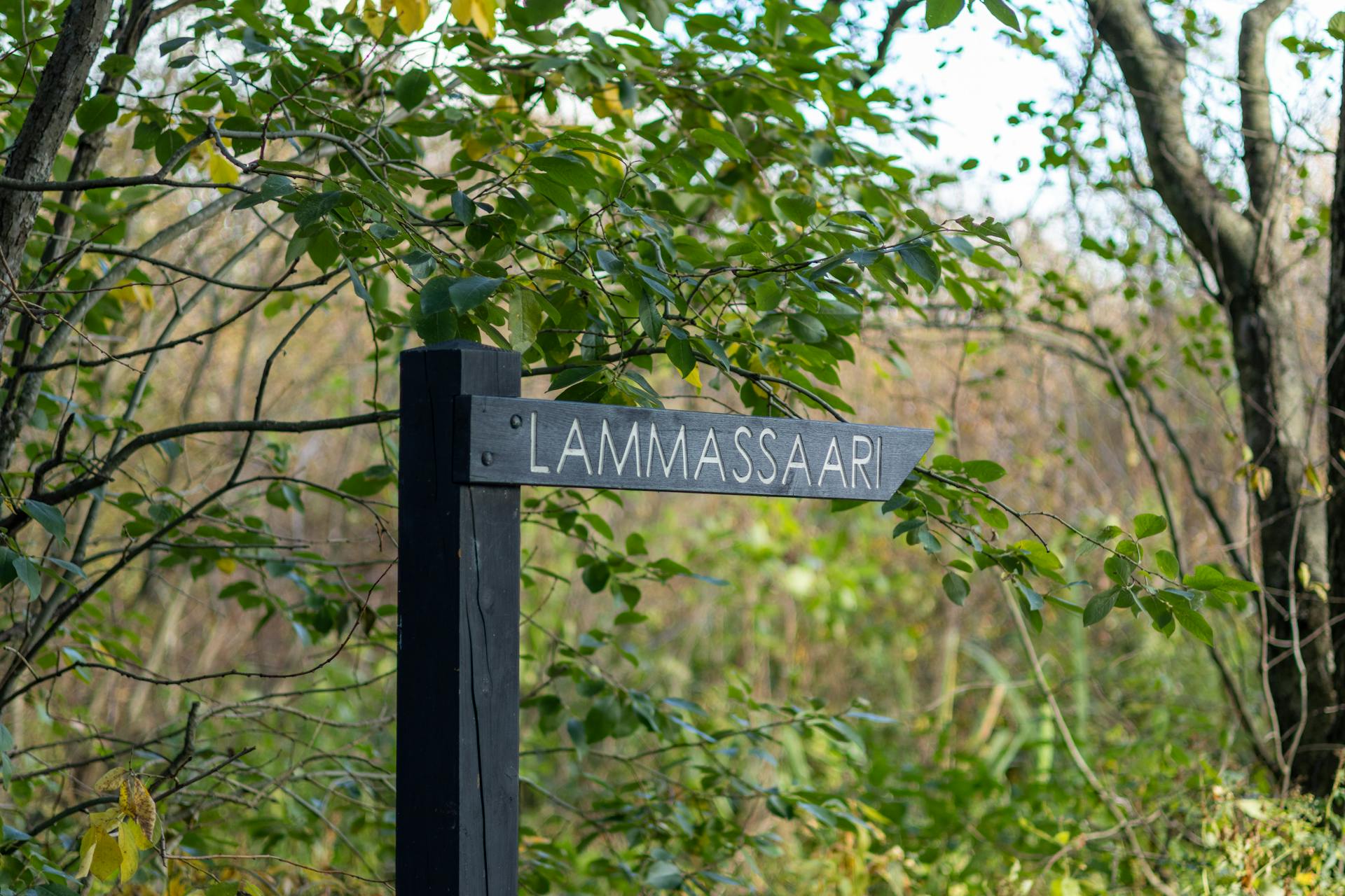 Forest Path Sign in Lammassaari, Finland