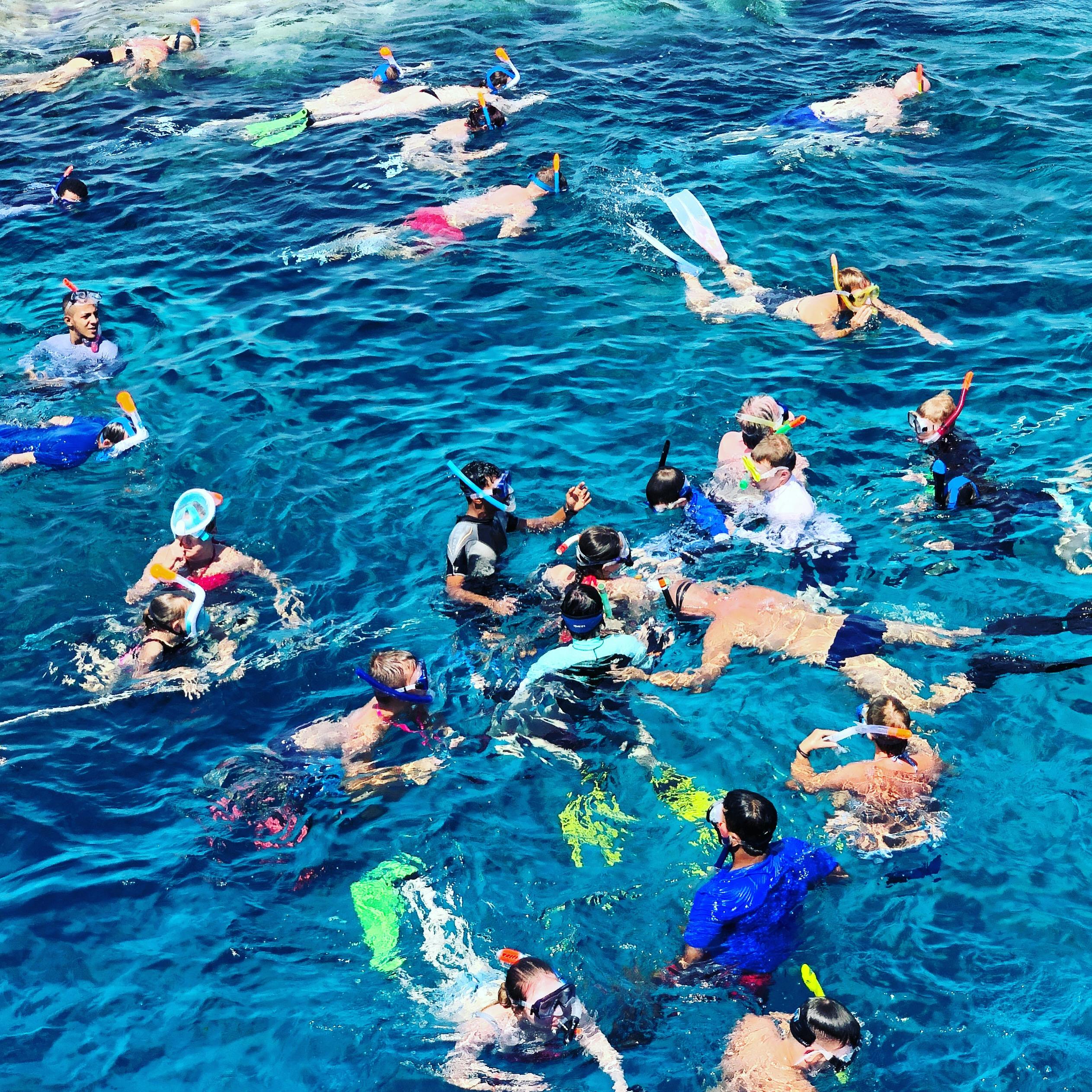 people swimming