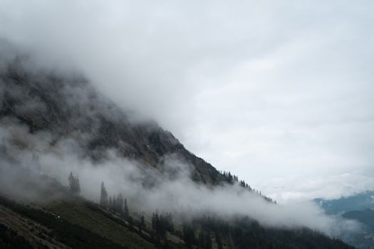 Dramatic mountain covered in mist with trees emerging through the fog.