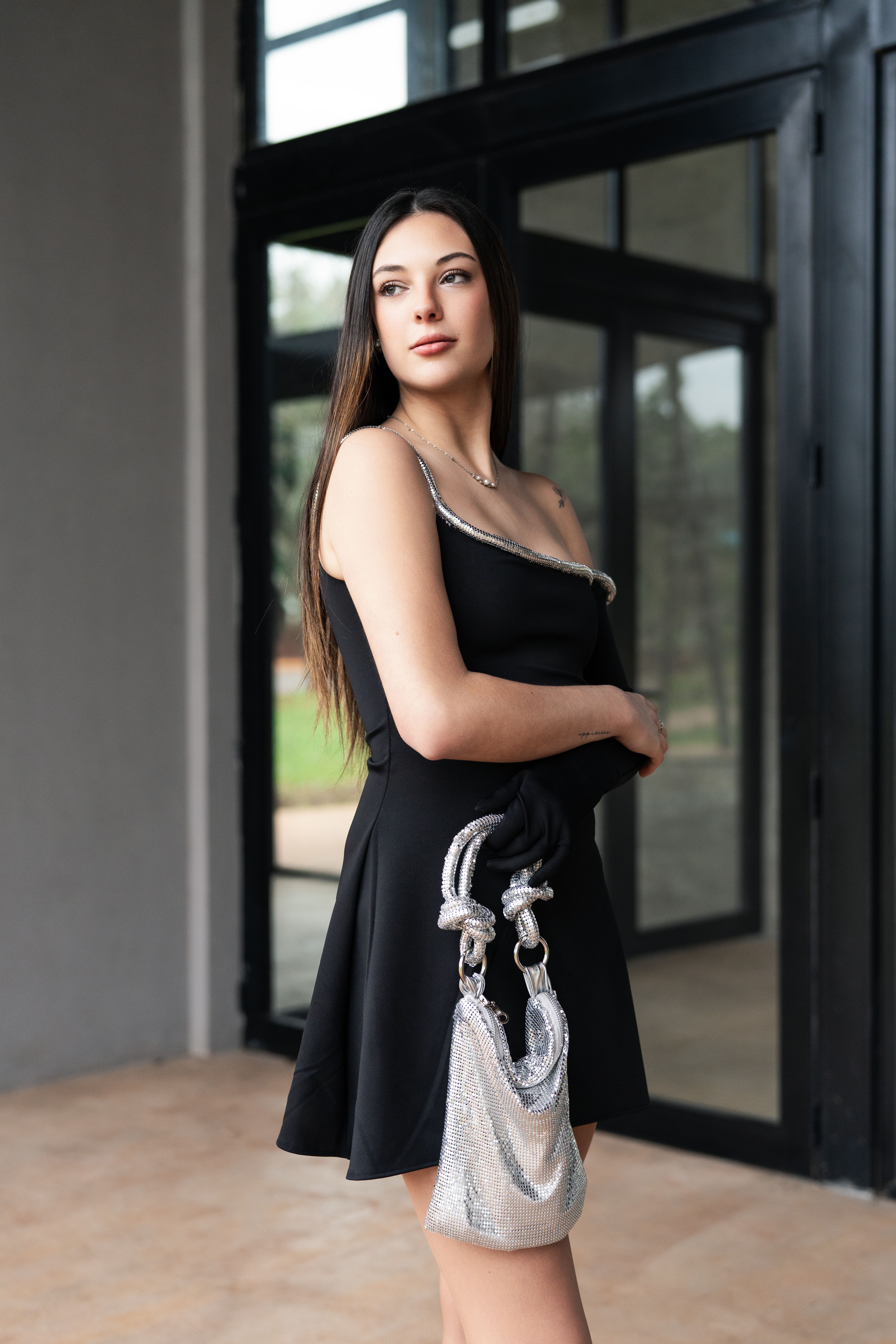 Elegant Woman with Silver Handbag and Black Dress in Argentina · Free ...
