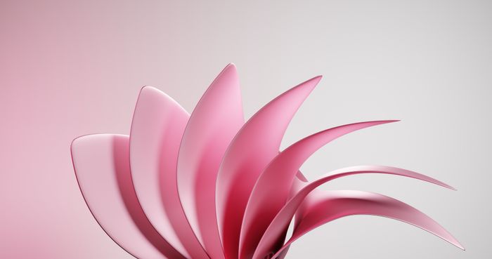 Abstract pink floral artwork with curved petal shapes — photo by Mahmoud Ramadan on Pexels