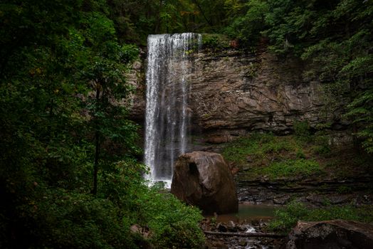 A tranquil waterfall cascades amidst dense green forest foliage, creating a serene natural scene.