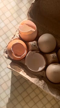 A carton of brown eggs with broken shells in soft light on a checkered surface.
