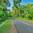 阳光明媚的日子里，和平的道路蜿蜒穿过万丹充满活力的丛林