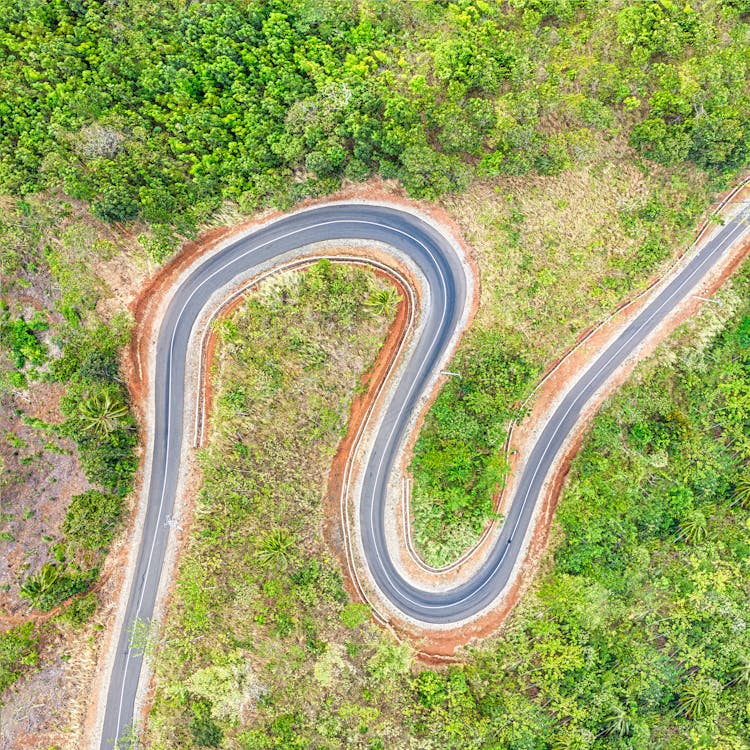 Bird's Eye View Of Road During Daytime