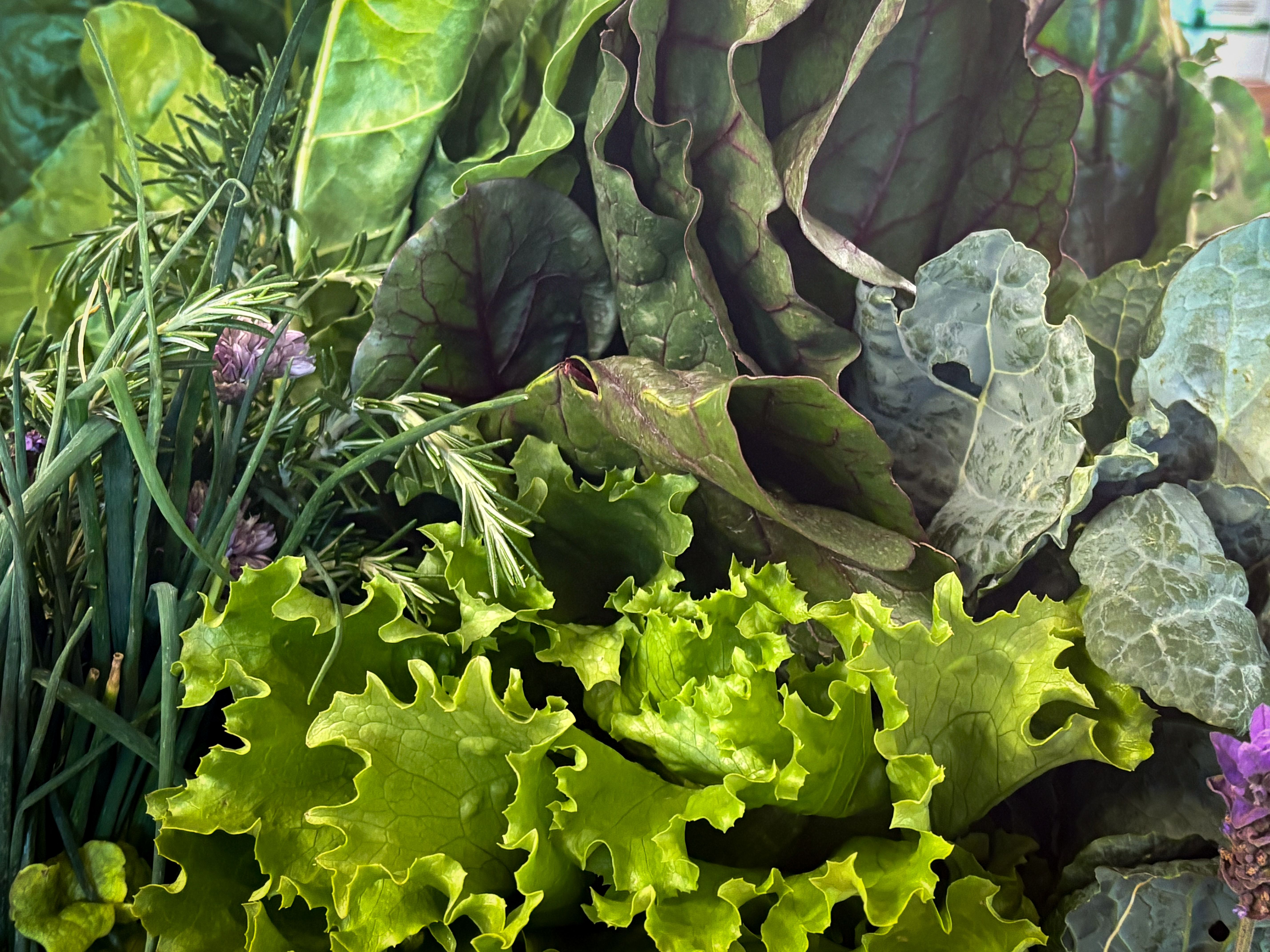 Ingredientes variados para una ensalada equilibrada